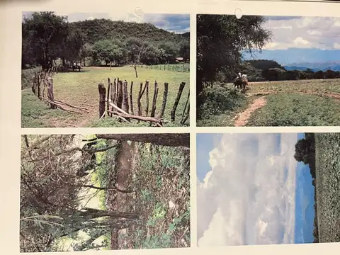 Campo en venta de 1380has ubicado en Coronel Moldes, Salta