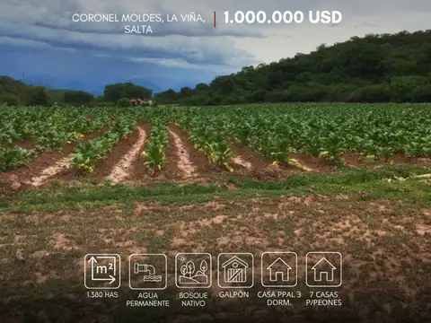 Campo en venta de 1380has ubicado en Coronel Moldes, Salta