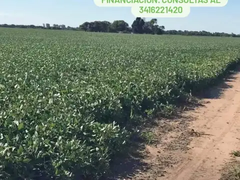 Terreno en Venta en Centro, USD 250.000