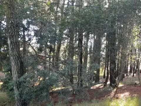 Terreno en Venta 15  mts Frente