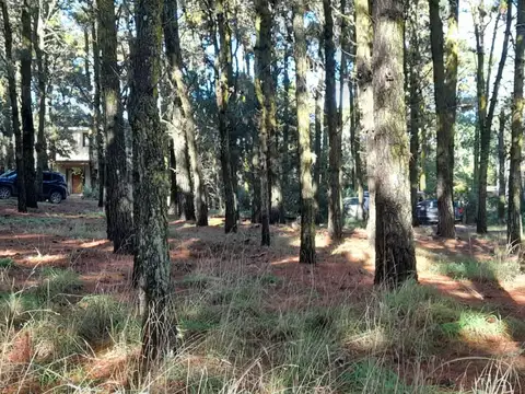 Lote Mar de las Pampas