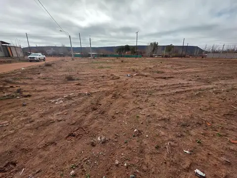 Vendo terreno en Rincón de los Sauces.