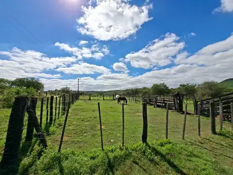 VENTA CAMPO 78 HECTAREAS VILLA DEL DIQUE