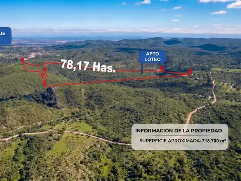 VENTA CAMPO 78 HECTAREAS VILLA DEL DIQUE