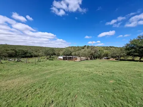 La Sierrita 100