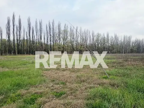 Chacra 3