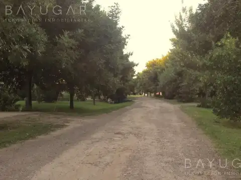 Venta - Lote en Barrio Altos de Manzanares / Pilar