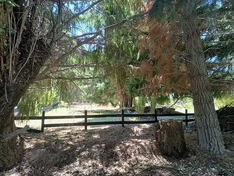 Terreno en Venta 86,83  mts Fondo