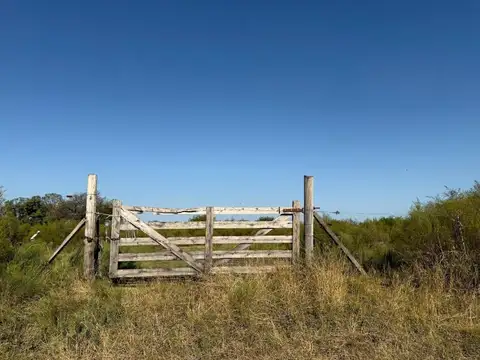 venta de 2 chacras de 7 Has c/u de 168 x 410 m. Gualeguaychú