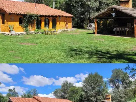 Consultar dirección