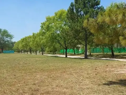 Av. Fernández Beschtedt