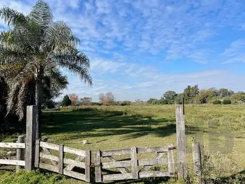 Venta Chacra en Puerto Panal
