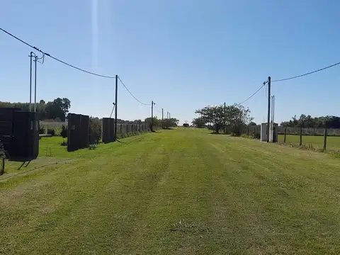 Terreno Lote  en Venta en Roque Perez, Resto de la Provincia, Buenos Aires
