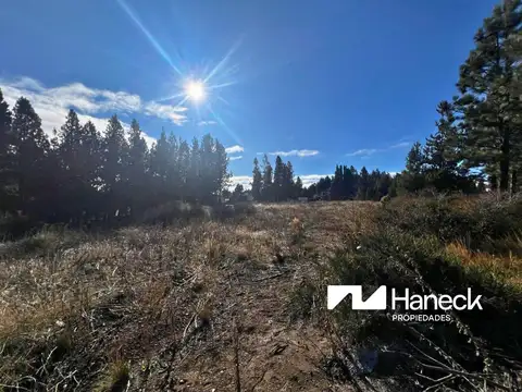 Terreno en Venta 40  mts Fondo