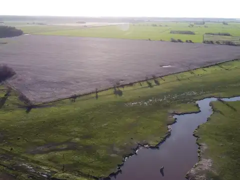 Campo en venta 52,8 hectares en "El Espinillo"