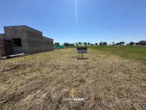 3 Gracias, Alta Gracia 100