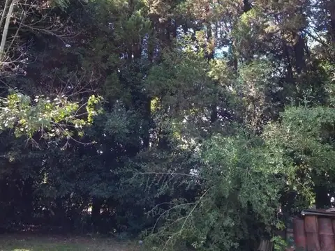 Terreno en Venta en Villa Adriana, USD 46.000