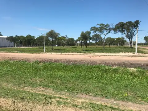 Terreno en Venta en Fontana, USD 18.000