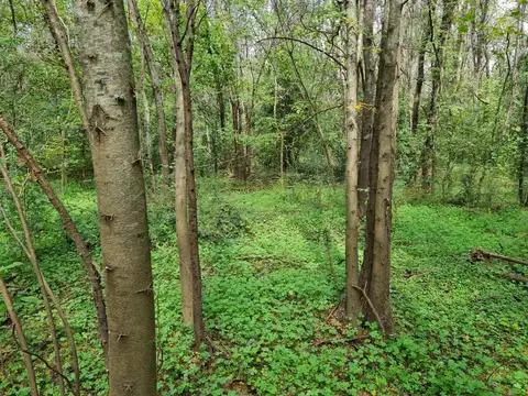 Gran Lote En Venta En Barrio La Ranita, Pilar