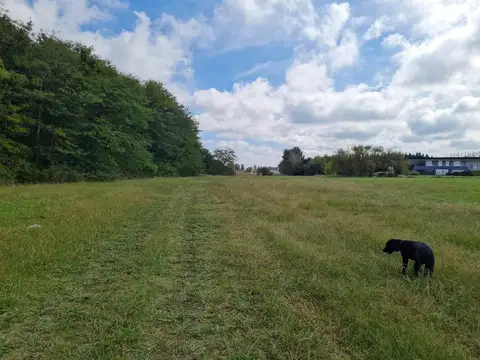 Terreno en Venta 100  mts Fondo