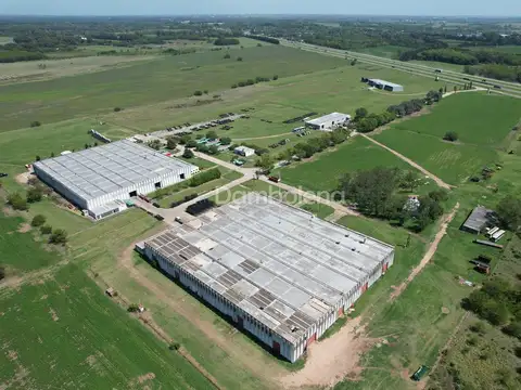 Autopista Luján Bragado 100