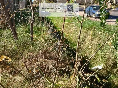 Terreno en Venta 49  mts Fondo