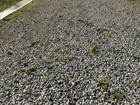 Terreno en Venta de 160,0 m2