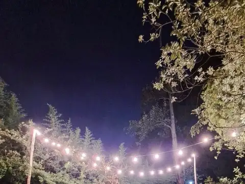 Monseñor D Andrea 1800