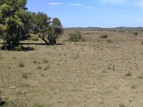 Ruta 109