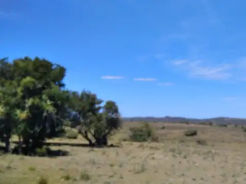 Campo ganadero, criador, Aigua