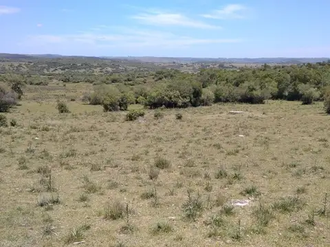 Campo ganadero, criador, Aigua