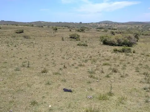 Ruta 109