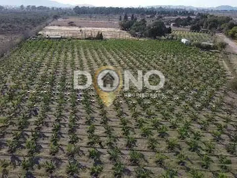 Campo - Venta - Argentina, San Luis