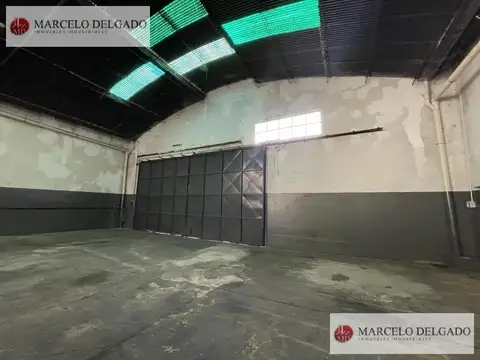 Diógenes Taborda al 1000
