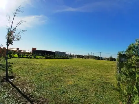 Terreno en Venta de 250,0 m2