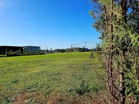 Terreno en Venta 25  mts Fondo