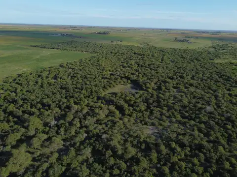 Campo en Venta de 267  ha