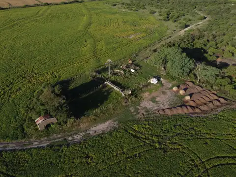Campo en Venta Mixto