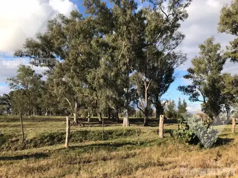 Terreno en Venta 18  mts Frente