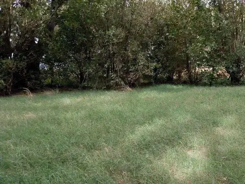 Terreno en Alquiler de 30000,0 m2