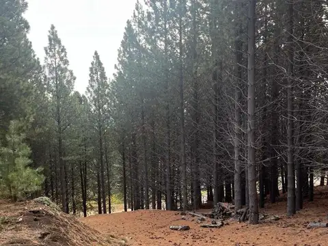 Terreno en Chapelco Golf &amp; Resort