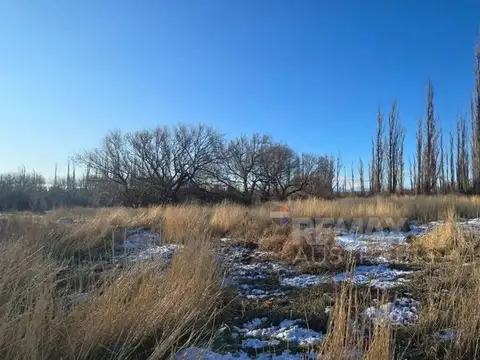 Terreno en Venta en Sarmiento, USD 16.344
