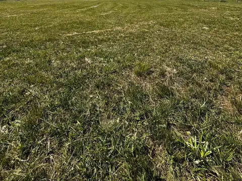 Terreno en Venta en Chacras De La Cruz, USD 66.000