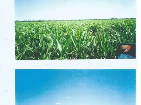 Campo en Venta Agrícola
