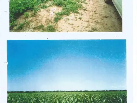 Campo en Venta de 370  ha