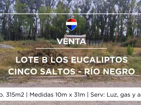 VENTA LOTE B LOS EUCALIPTOS CINCO SALTOS