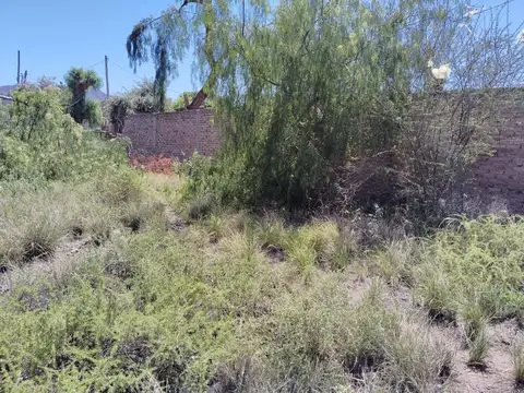 Terreno en Venta 37  mts Frente