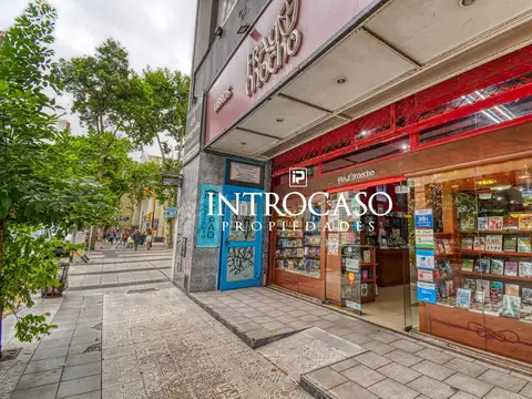 Alquiler Importante Local Centro Mar del Plata