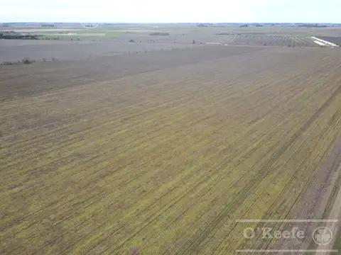 Campo en venta 180 Has mixtas en Gral. Las Heras