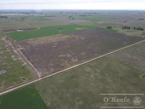 Campo en venta 180 Has agricolas en Cañuelas